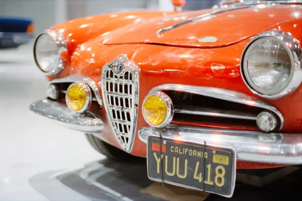 Ricky Kaszinó Android/iOS Alkalmazás